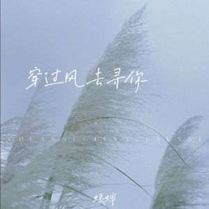 穿过风去寻你