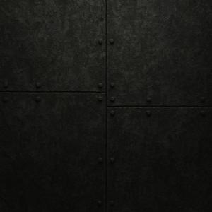 IN THE DARK