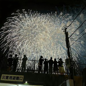 烟火 绚烂 终会黯然