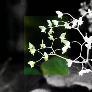 Durag （Instrumental）