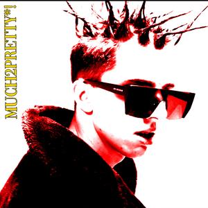 MUCH2PRETTY*! (feat. nbglocu)