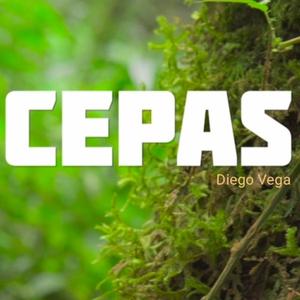 Cepas
