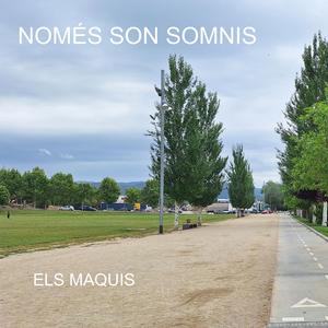 NOMES SON SOMNIS (Radio Edit)