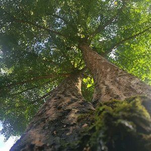 小雨未停