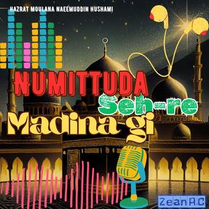 Numittuda Seh-re- Madina gi (feat. Hazrat Moulana Naeemuddin Hushami)