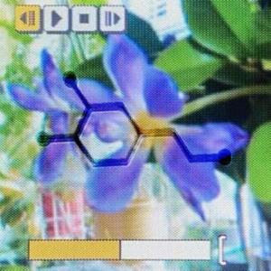 DOP4MIN3 (feat. khylo)