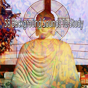 Accumulate Wisdom