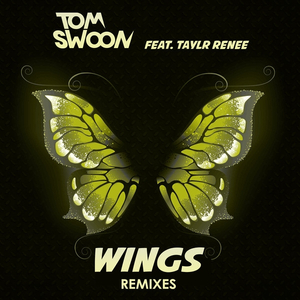 Wings (Myon & Shane 54 Summer Of Love Mix)