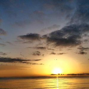 我从此离开我的世界开始灰暗