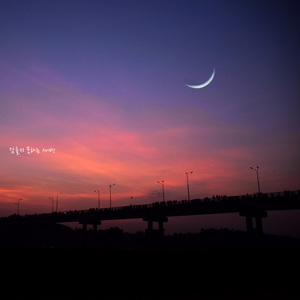 잠 들지 못하는 새벽