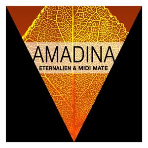 Amadina