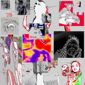 WYP (WHAT IS YOUR PRICE?)