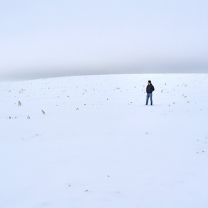 Несбывшаяся