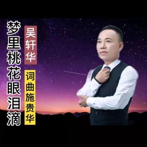 梦里桃花眼泪滴