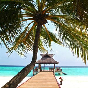 人海浮沉（古筝）