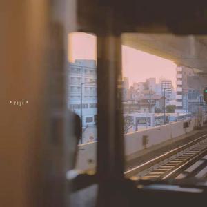 花.间.酒（醉酒版）