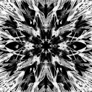 18 (Cover)