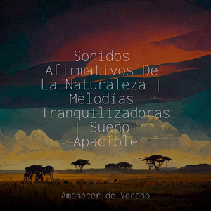 Deslumbrante Descenso hacia la Soledad