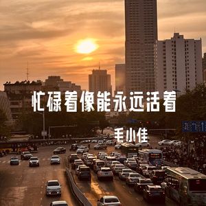 忙碌着像能永远活着