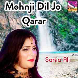 Mohnji Dil Jo Qarar
