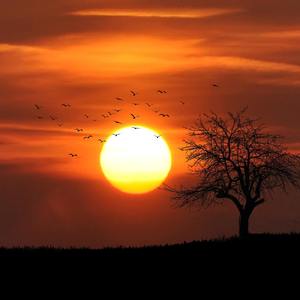 あの日見た夕日と変わってしまった私