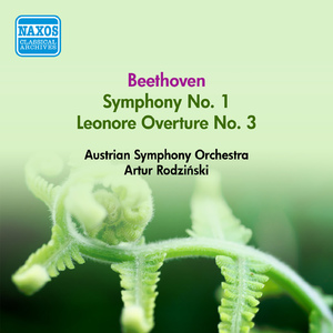 Symphony No. 1 in C Major, Op. 21:II. Andante cantabile con moto