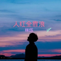 全网独家已绝版 (DJ版)