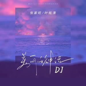 美丽的神话 (DJ释怀版)