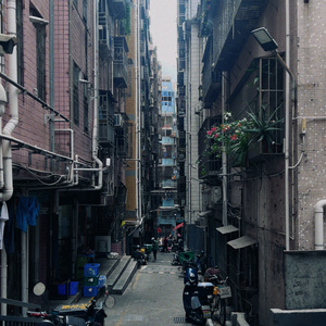 该怎样面对这个世界