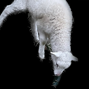 Miss You Like The Old MTV