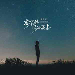 忘不掉你的温柔 (伴奏)
