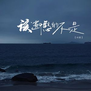 该遗憾的不是我