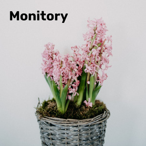 Monitory