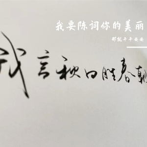 孙燕姿-遇见。