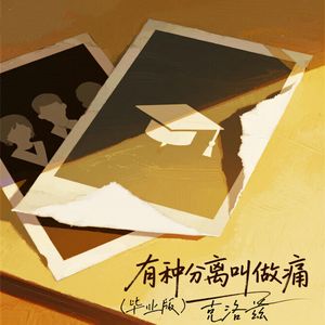 有种分离叫做痛 (毕业版)