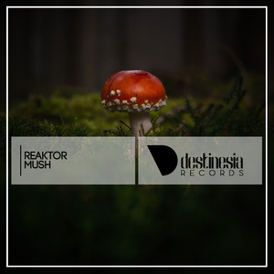 Mush (Original Mix)