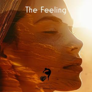 The Feeling (Radio Edit)