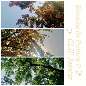 Blooming for Prettiest U