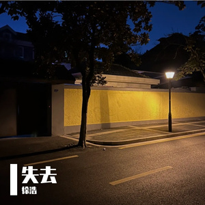 失去了你