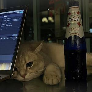 你是我的女朋友（原唱：小右）