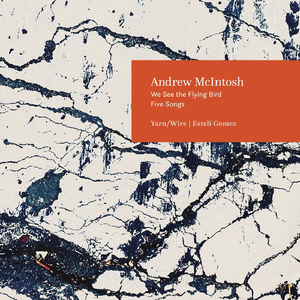 We See the Flying Bird