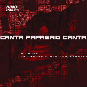 Canta Papagaio Canta