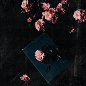 Guapanese (feat. TyKashh)