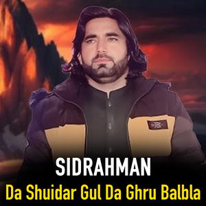Da Shuidar Gul Da Ghru Balbla