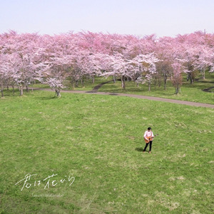 君は花びら