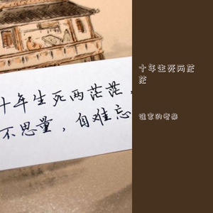 十年生死两茫茫