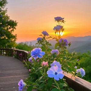 稻草人（治愈轻音乐）