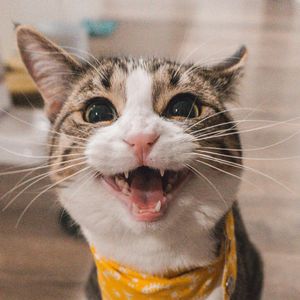 哭和笑滚烫才算活过