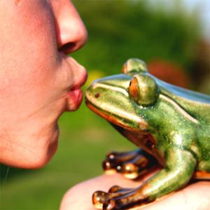 Kiss a Lot of Frogs