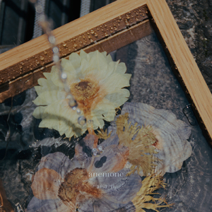 anemone (2026)